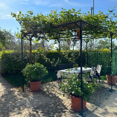 فندق Casa Borgo بالي المظهر الخارجي الصورة